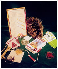 Native American Quillwork